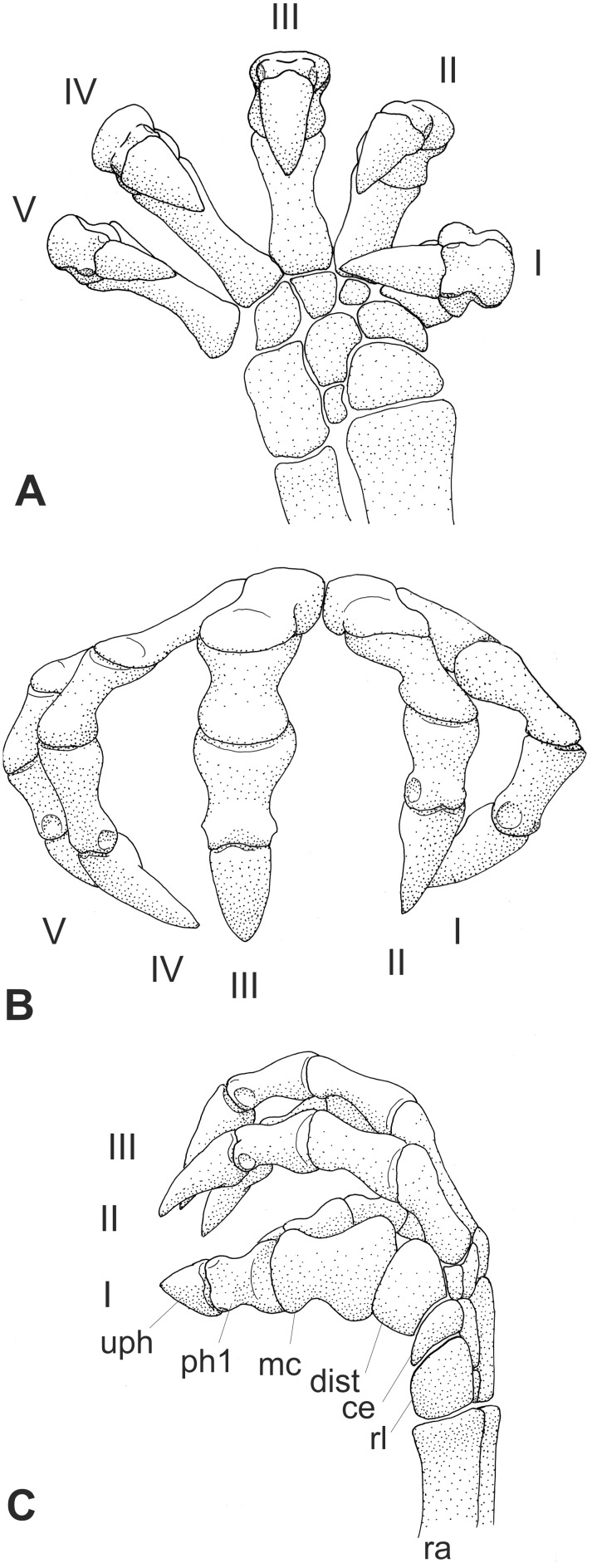 Figure 25