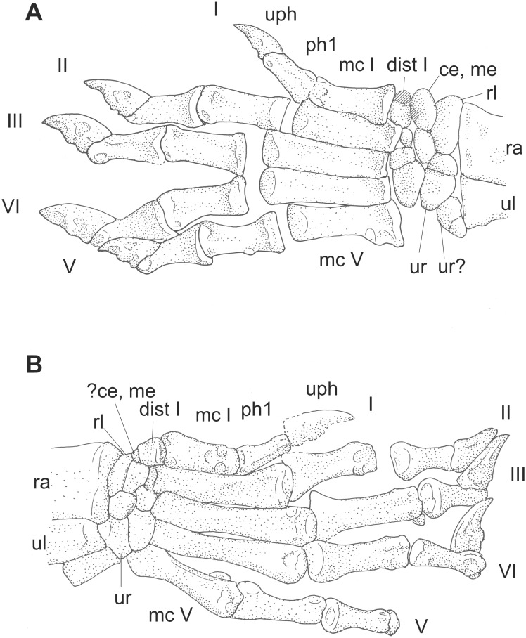 Figure 18