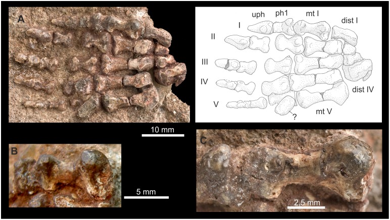 Figure 14