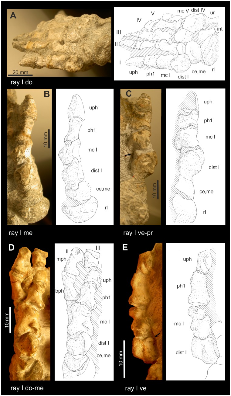 Figure 9