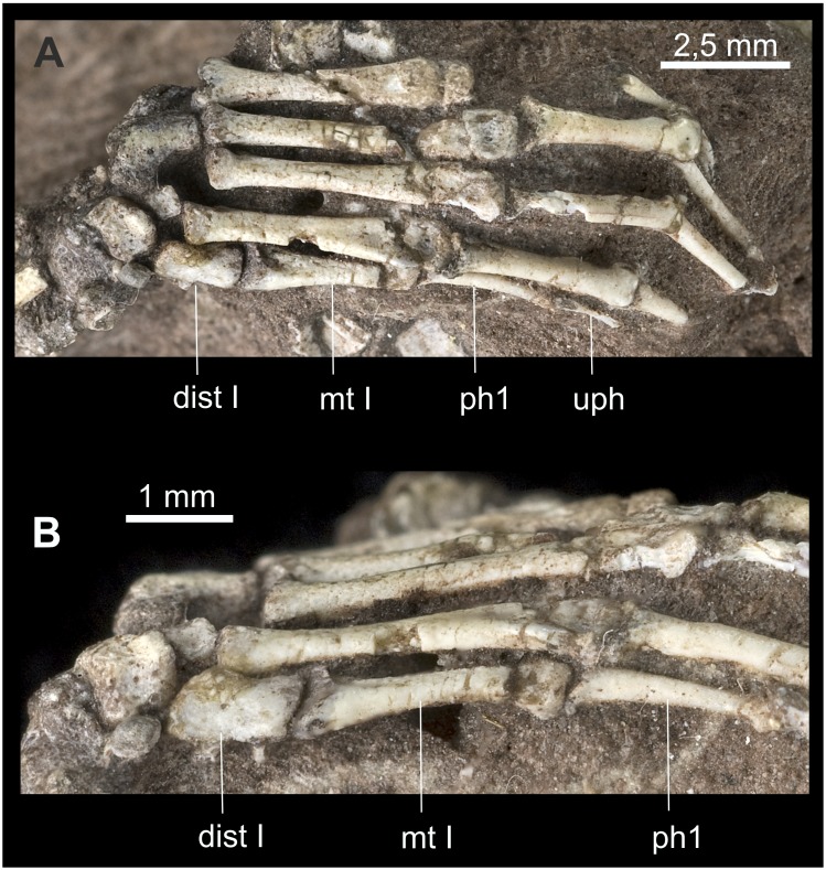 Figure 19