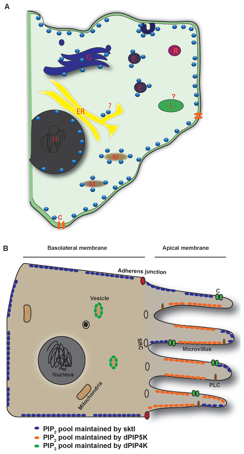 Fig 2