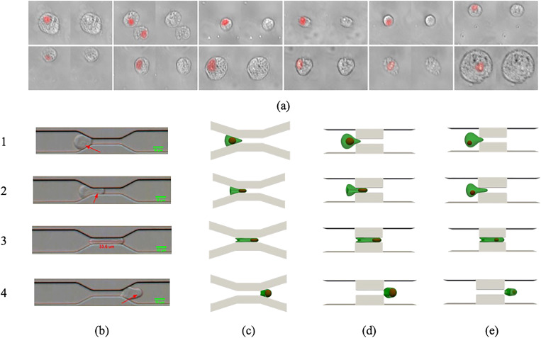 FIG. 4.