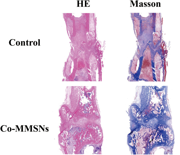 Figure 9