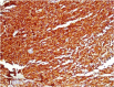 Fig4