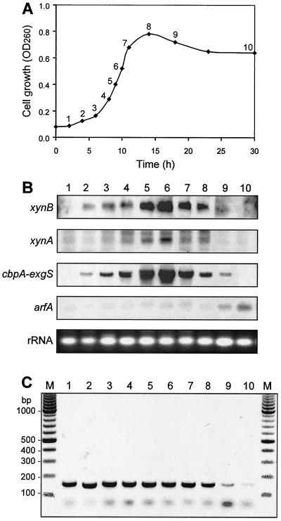 FIG. 3.