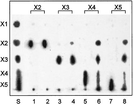 FIG. 6.