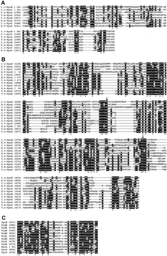 FIG.4.