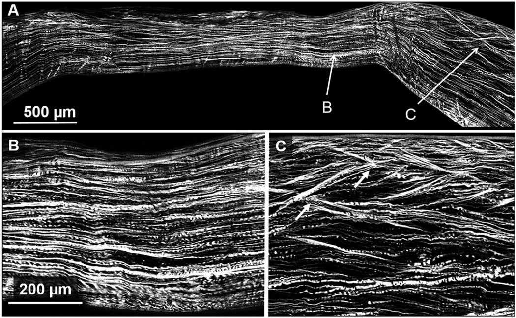 Fig. 3.