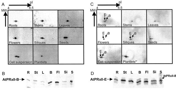 Figure 9.