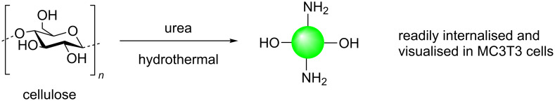 Scheme 25