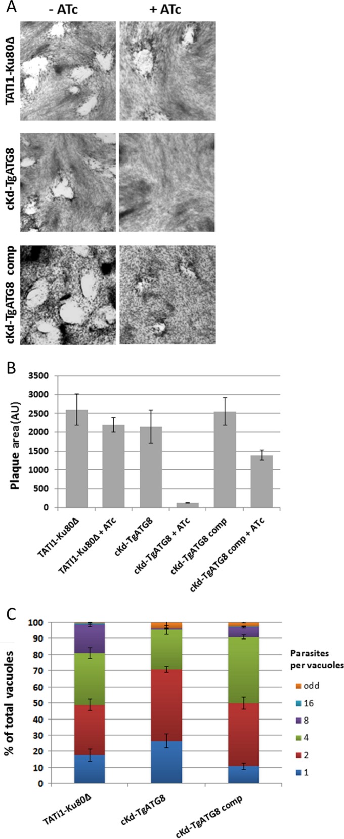 FIG 3 