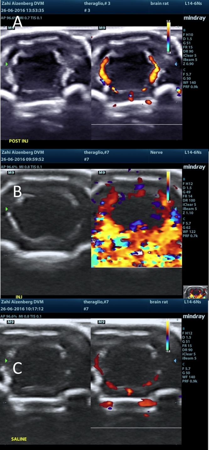 Figure 10