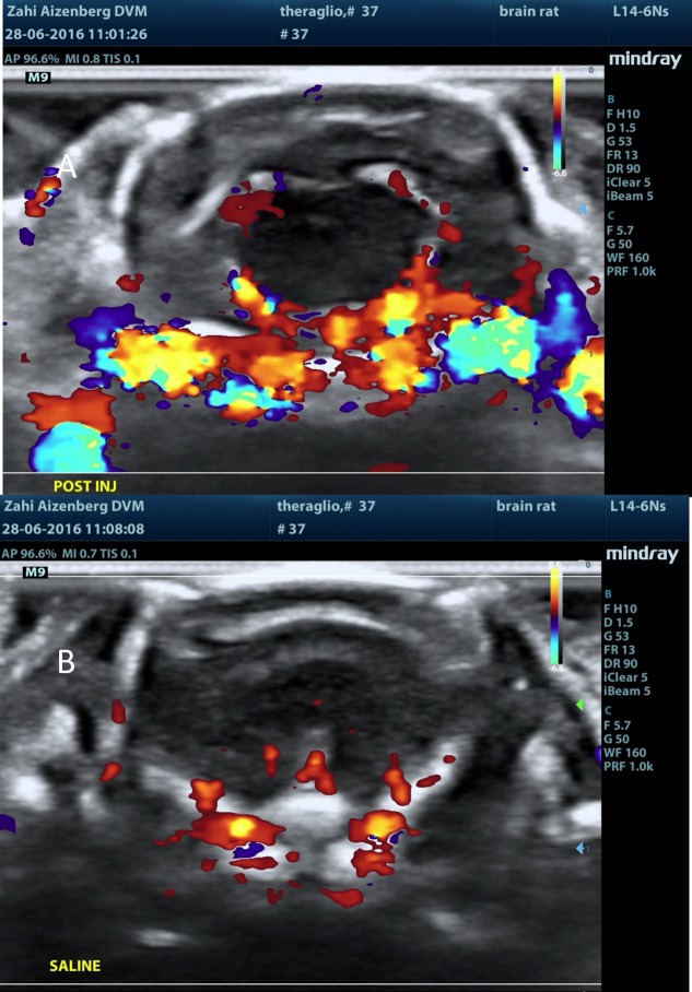 Figure 13