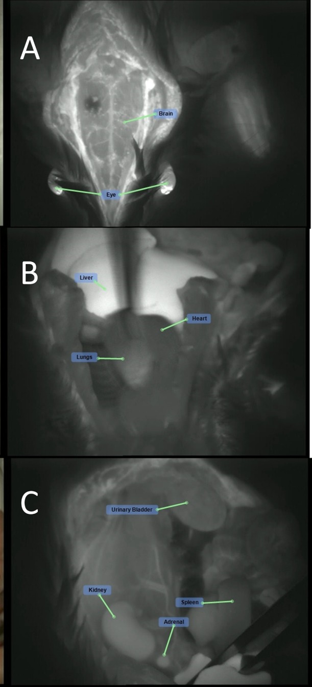 Figure 7