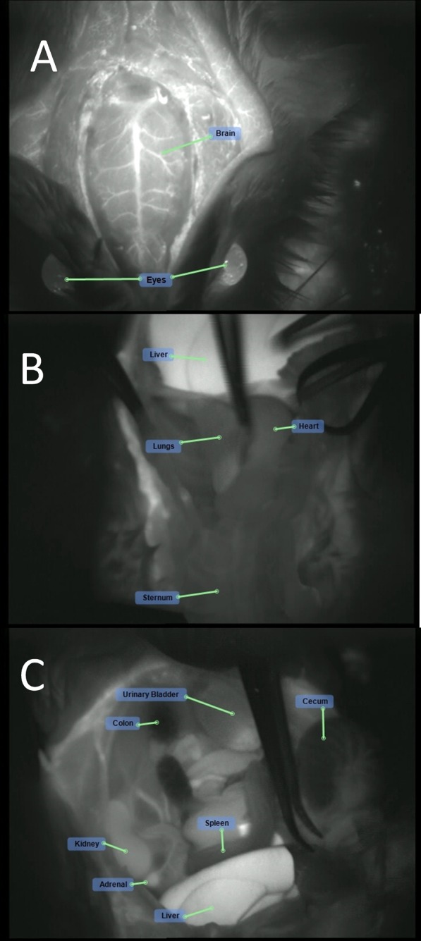 Figure 9