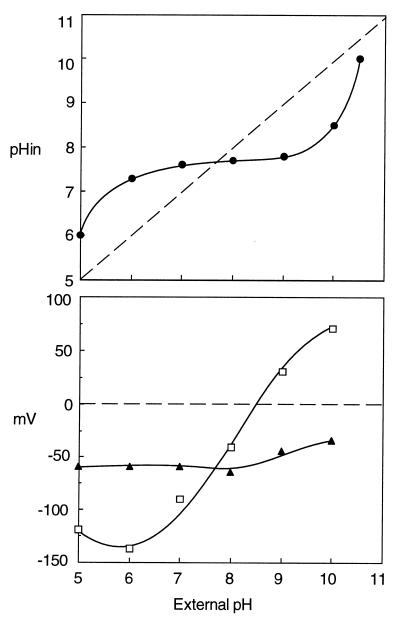 FIG. 11