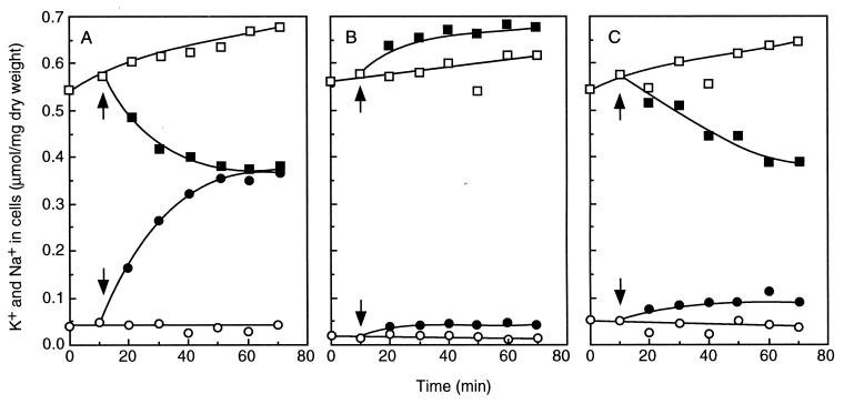 FIG. 8