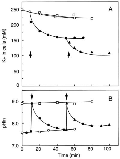 FIG. 9