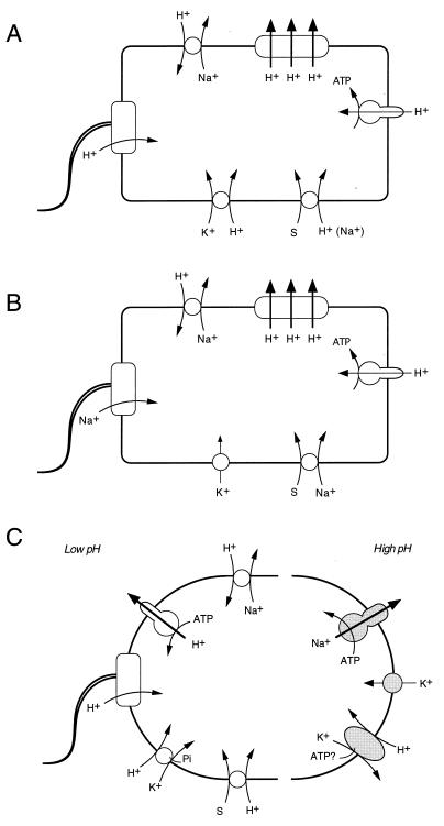 FIG. 12