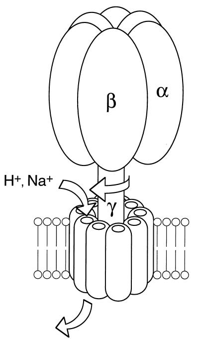 FIG. 3