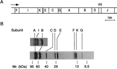 FIG. 6