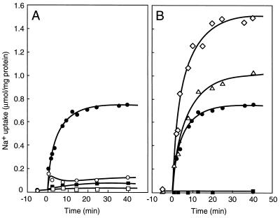 FIG. 7