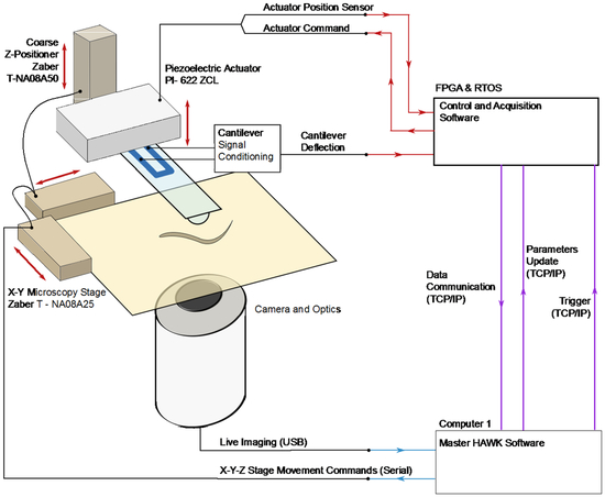 Figure 1.