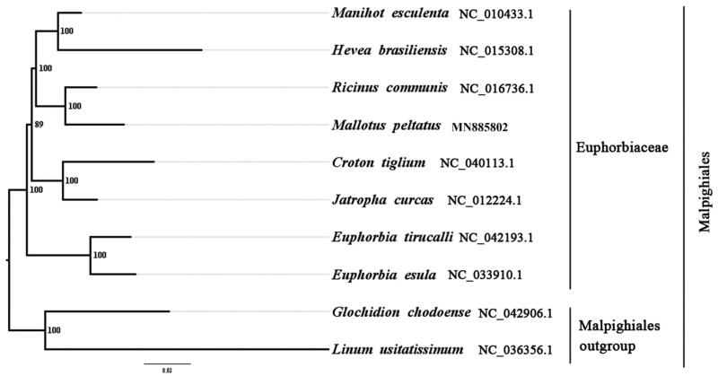 Figure 1.