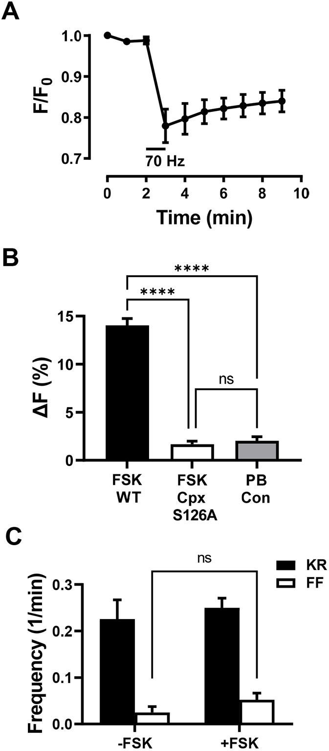 Fig. 6.