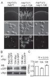 FIG 4