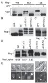 FIG 5