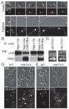 FIG 2