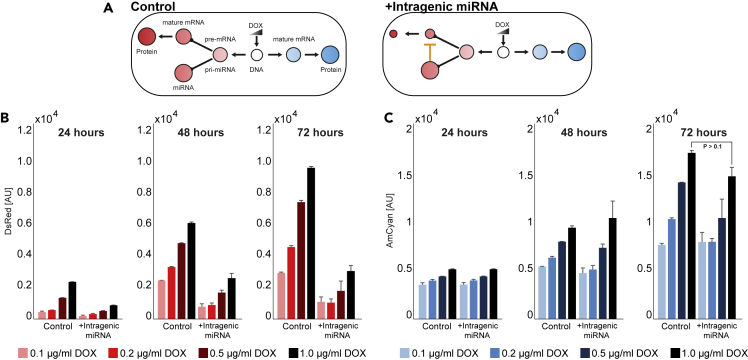 Figure 3