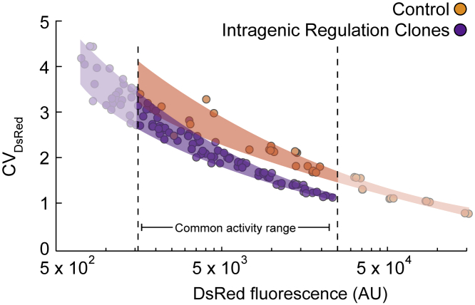 Figure 6