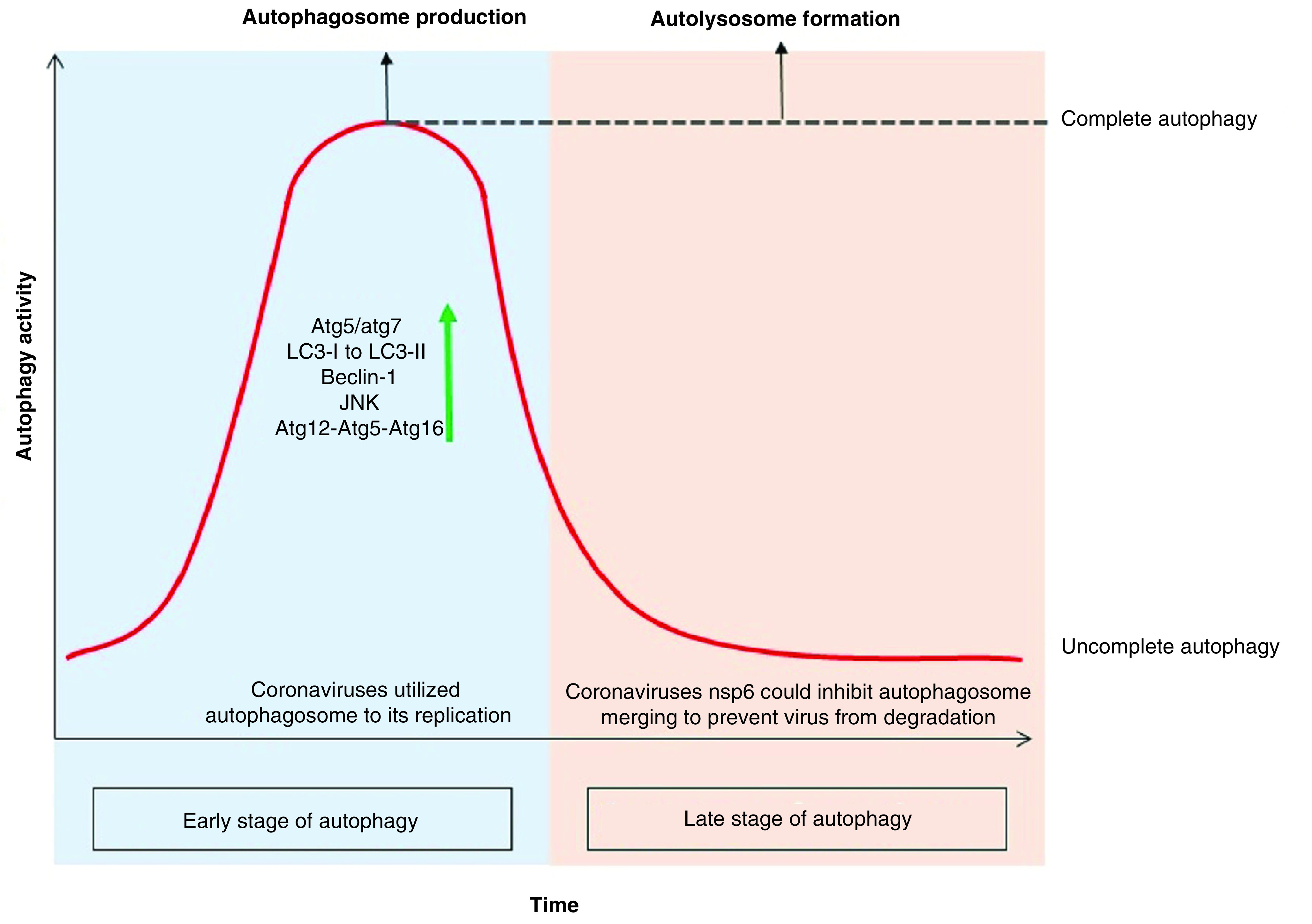 Figure 4. 