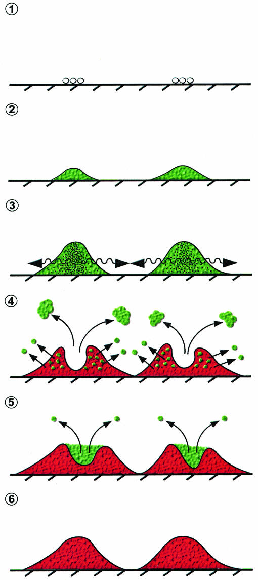 FIG. 8.