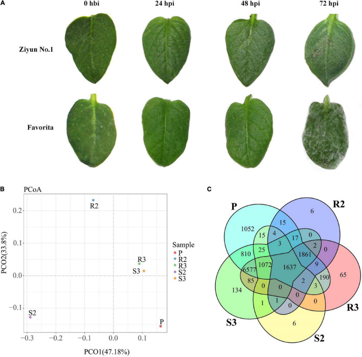 FIGURE 1