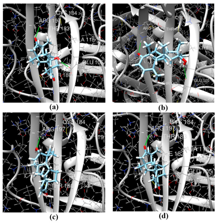 Figure 12