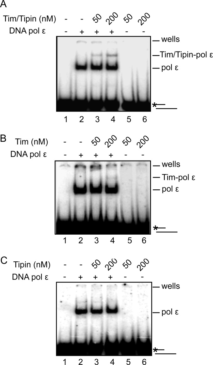 FIGURE 9.