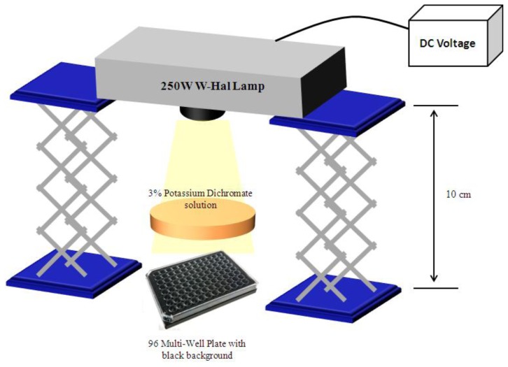 Figure 10