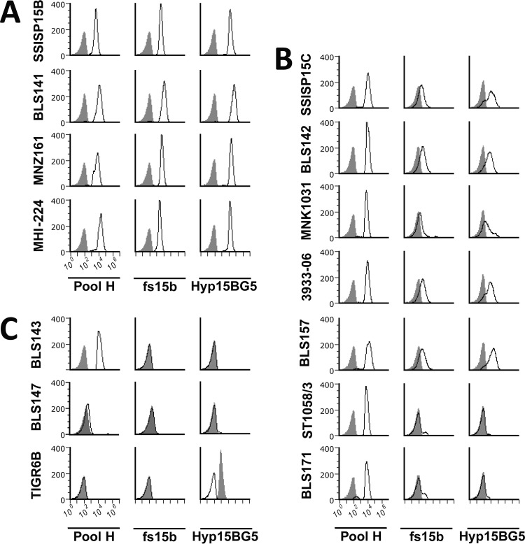 FIG 3