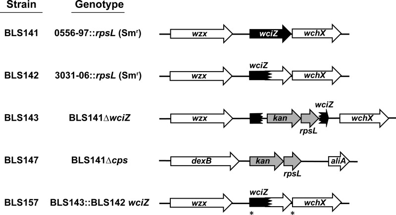 FIG 1