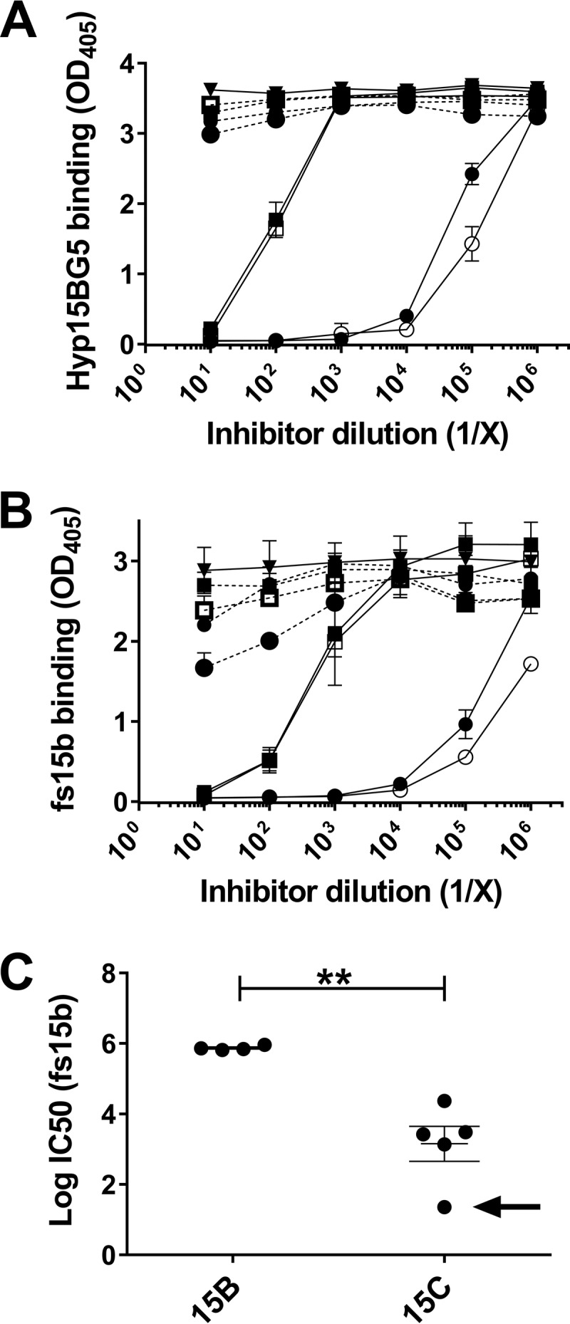 FIG 2