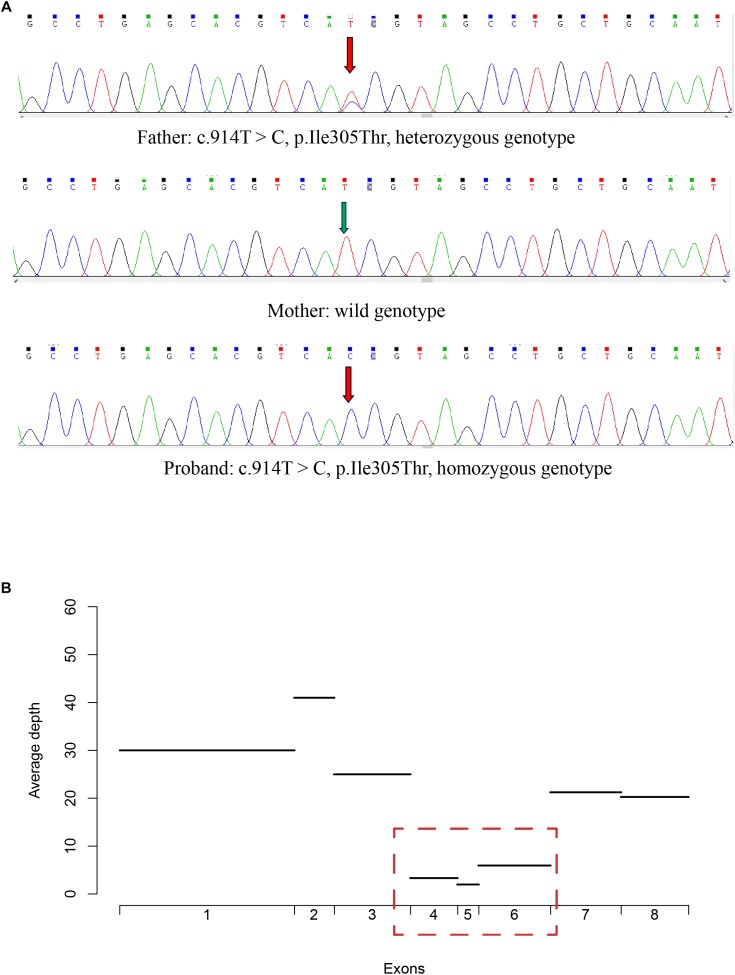 FIGURE 3