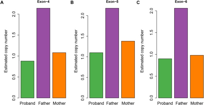 FIGURE 4