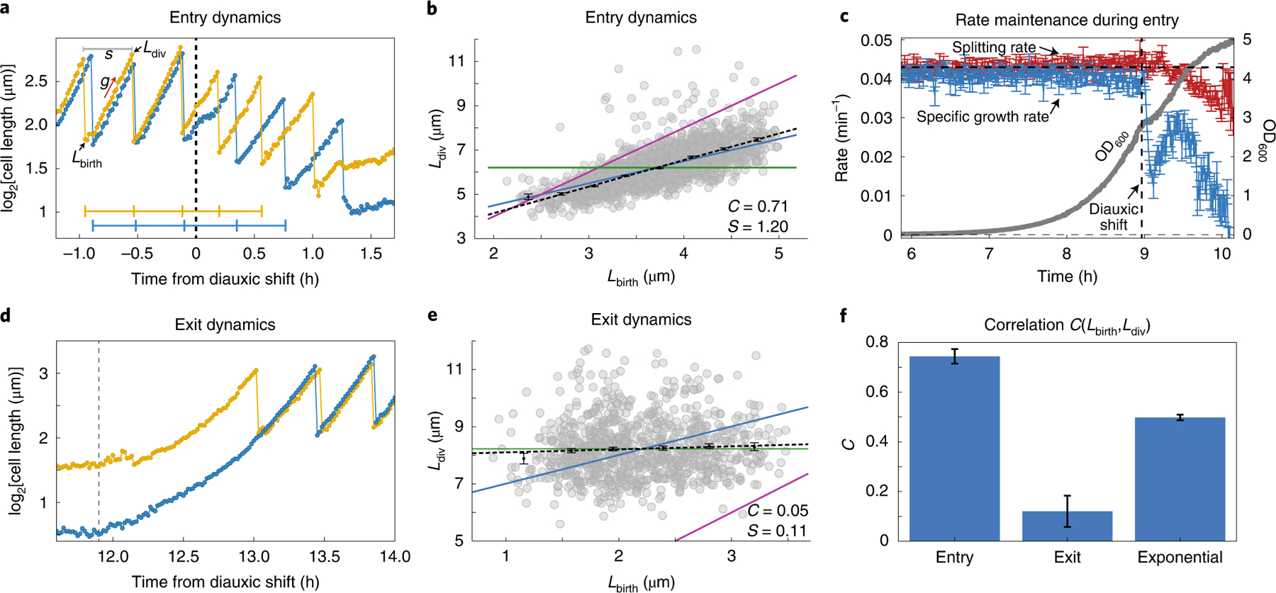 Fig. 3 |