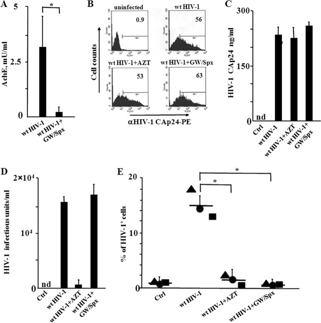 FIG 1