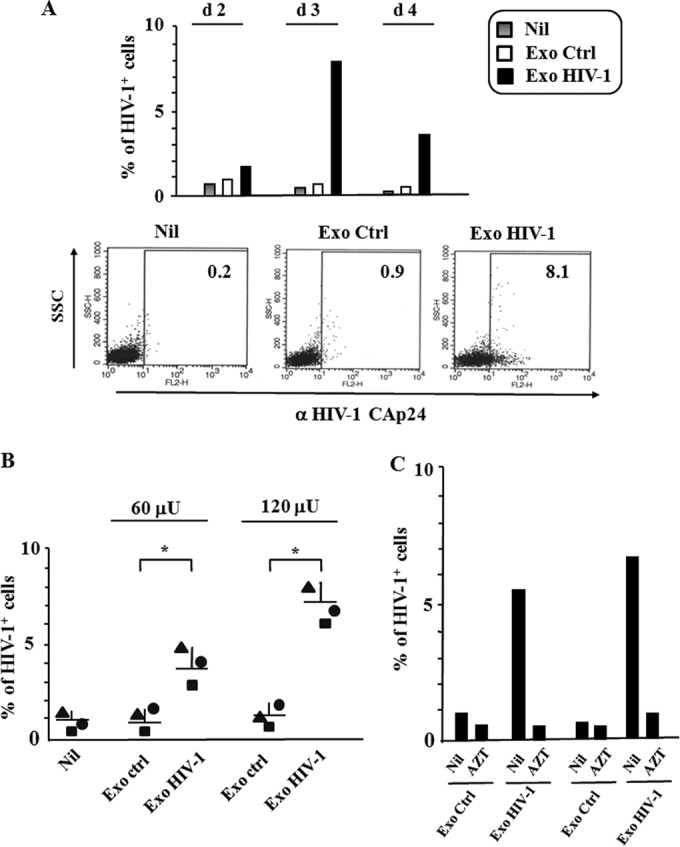 FIG 3