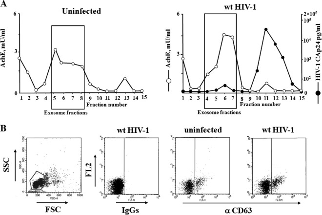 FIG 2